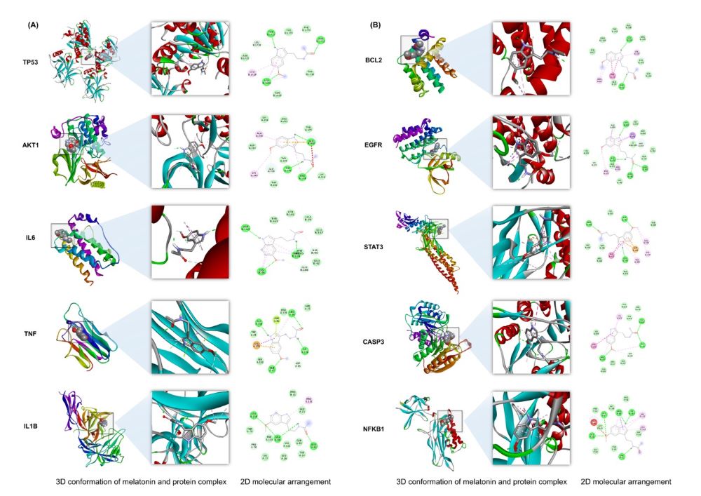 Figure 5.jpg