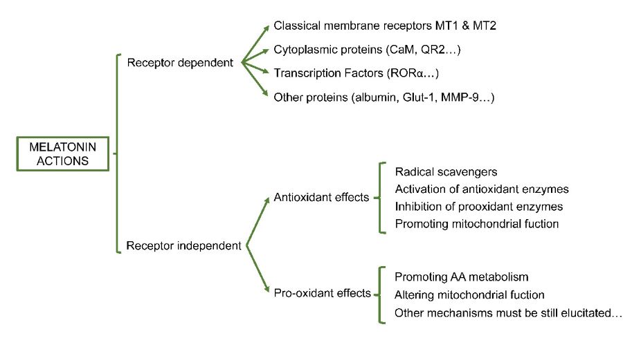 Figure 1.jpg